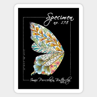 Imari Porcelain Butterfly | Vintage Modern Zoological Print White Magnet